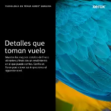 Tóner Xerox 006r04389 Original, Magenta, Compatibilidad C230 C235, Rinde 1500 Páginas