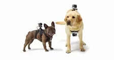 Accesorios Gopro Adogm-001 Arnés De Perro Con Soporte Para Cámara, Montable En Perro, Color Negro, Compatibilidad