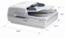 Escaner Epson B11b205221 Tamaño Máximo De Escaneado 215 X 1016 Mm, Resolución 1200 X 1200 Dpi, Escáner A Color Si, Velocidad De Escaneo Adf 25 Ppm, Usb 2.0, Color Blanco