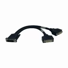 Adaptador De Vídeo Tripp Lite P576-001 Cable Divisor En Y De Dms-59 A Dvi Doble (m A 2x Dvi-i H), 0.3 M [1 Pie], 0.3 M, Dms, 2 X Dvi, Macho, Hembra, Oro