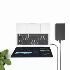 Cable Thunderbolt Startech.com Cable Thunderbolt 3 Pasivo De 2m - 20gbps - Pd 100w - Video 4k - Cable Thunderbolt - Certificado Thunderbolt - Compatible Con Usb4 / Modo Alt Dp - Thunderbolt 4 - Usb...