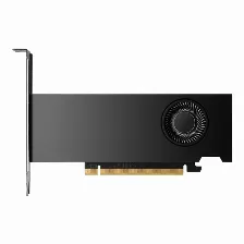 Tarjeta De Vídeo Pny Nvidia Rtx 2000 Ada Generation Rtx 2000 Ada, 2816 Núcleos Cuda, 16 Gb, 128 Bit, Gddr6, 7680 X 4320 Pixeles, Pci Express X8 4.0, 0x Hdmi, 0x Dvi-i 4 X Displayports